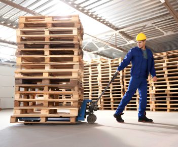 PALLET UP | North-york